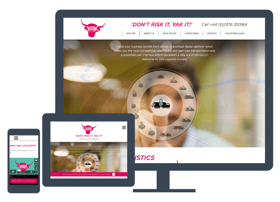 Logo design and website design for logistics